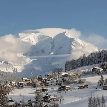 Appartement Chalet Le Flocon De Cristal *